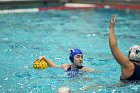 WWPolo vs CC  Wheaton College Women’s Water Polo compete in their sports inaugural match vs Connecticut College. - Photo By: KEITH NORDSTROM : Wheaton, water polo, inaugural